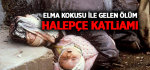 Elma Kokusu ile Gelen Ölüm: Halepçe Katliamı